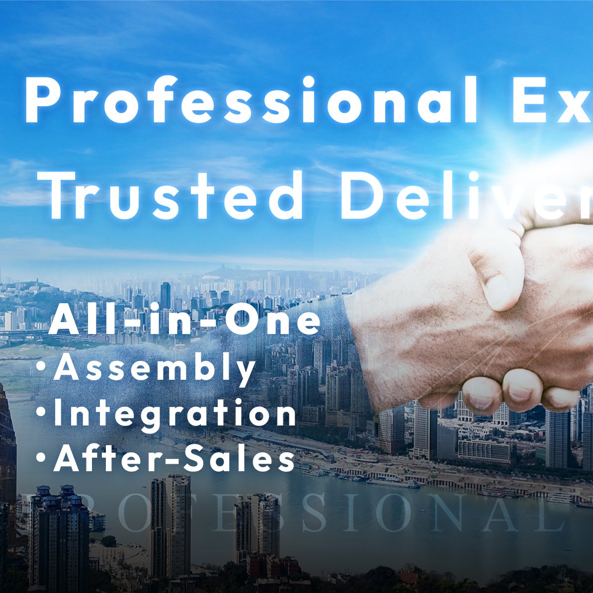 Professional Expertise, Detail-Oriented Service
